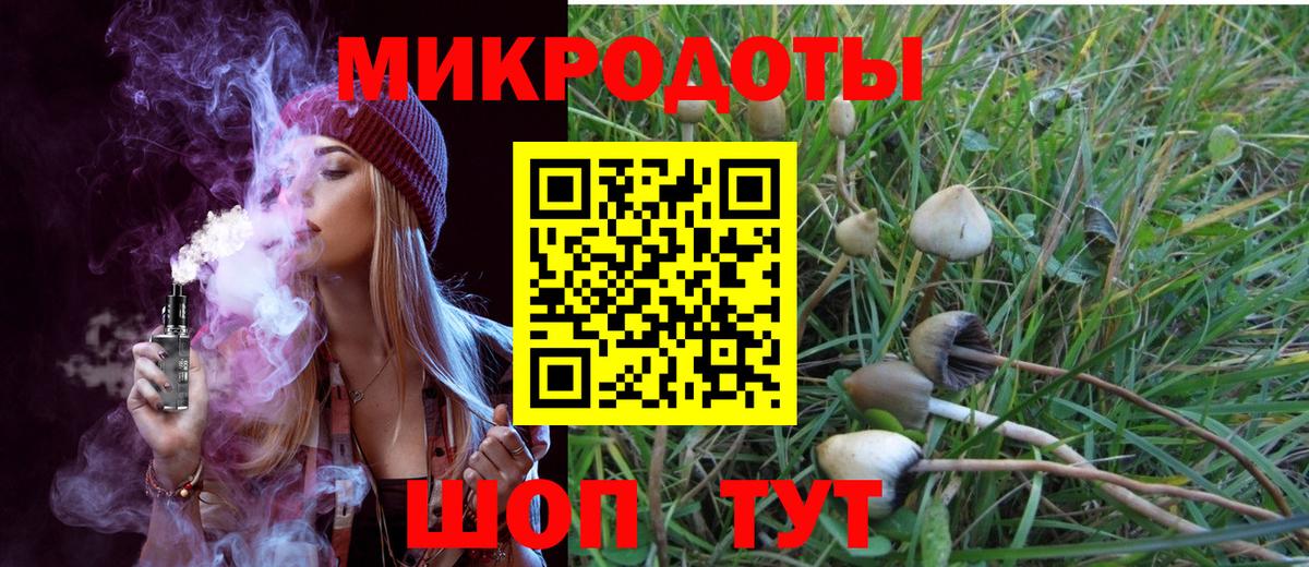 Псилоцибиновые грибы Psilocybine cubensis Верхний Уфалей